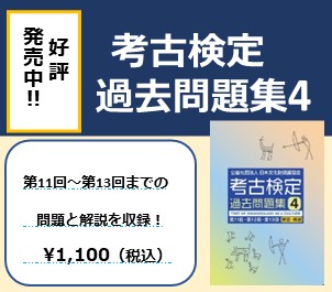 過去問題集は、新版、第3版ともに購入できます(詳細は上をクリック）